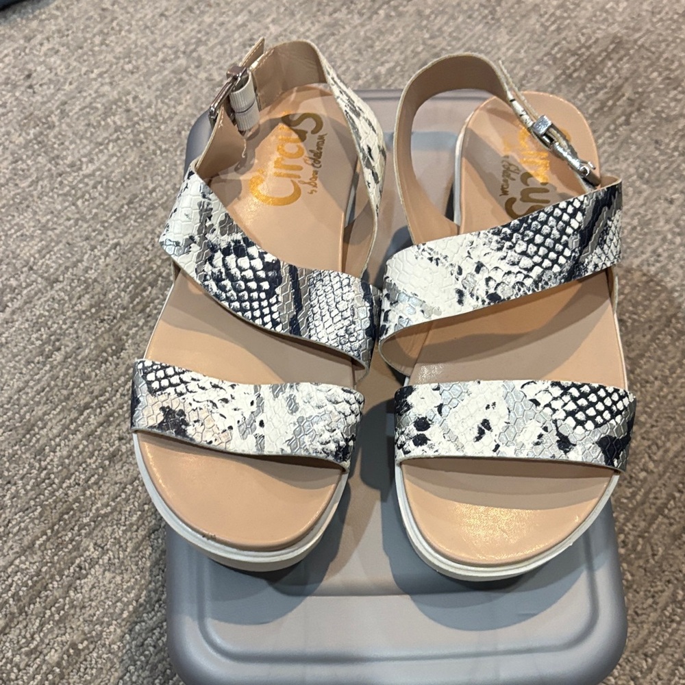 Circus by Sam Edelman Women's Sandals - Black and White Snakeskin